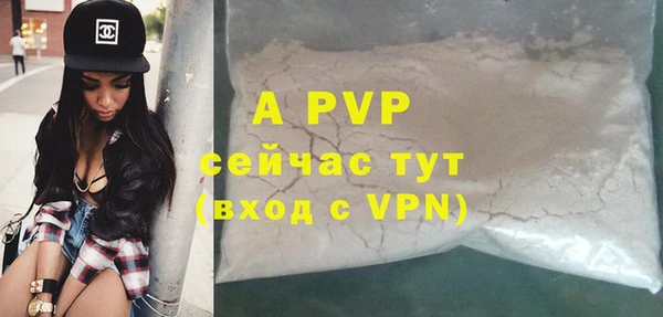 прущие грибы Зеленокумск