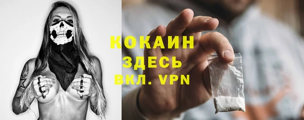 твердый Зеленодольск