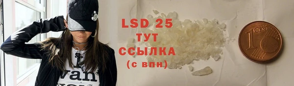 прущие грибы Зеленокумск