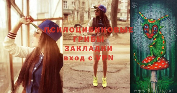 твердый Зеленодольск