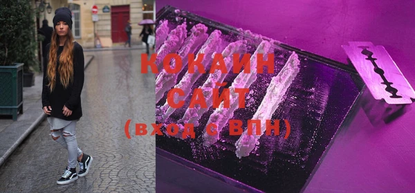 прущие грибы Зеленокумск