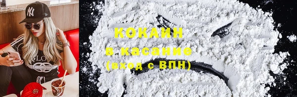 прущие грибы Зеленокумск