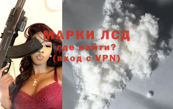 прущие грибы Зеленокумск