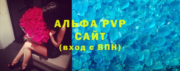 прущие грибы Зеленокумск