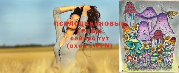 прущие грибы Зеленокумск