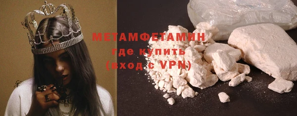прущие грибы Зеленокумск