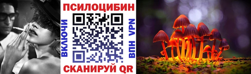 мориарти официальный сайт  Южа  Галлюциногенные грибы Magic Shrooms 